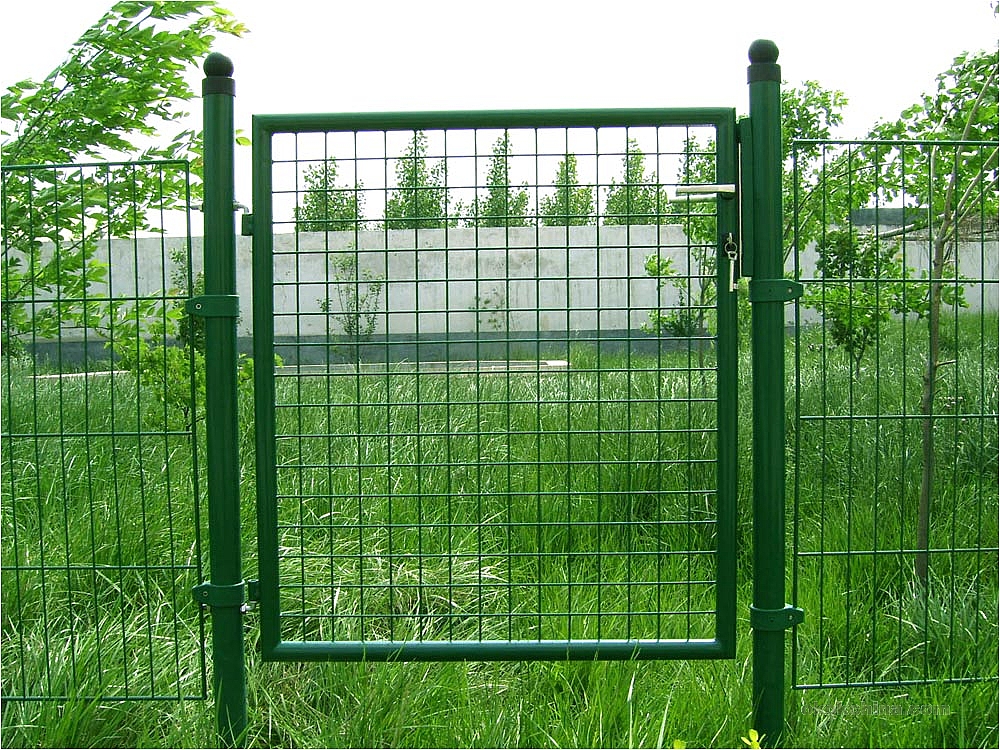 Single Swing Gate