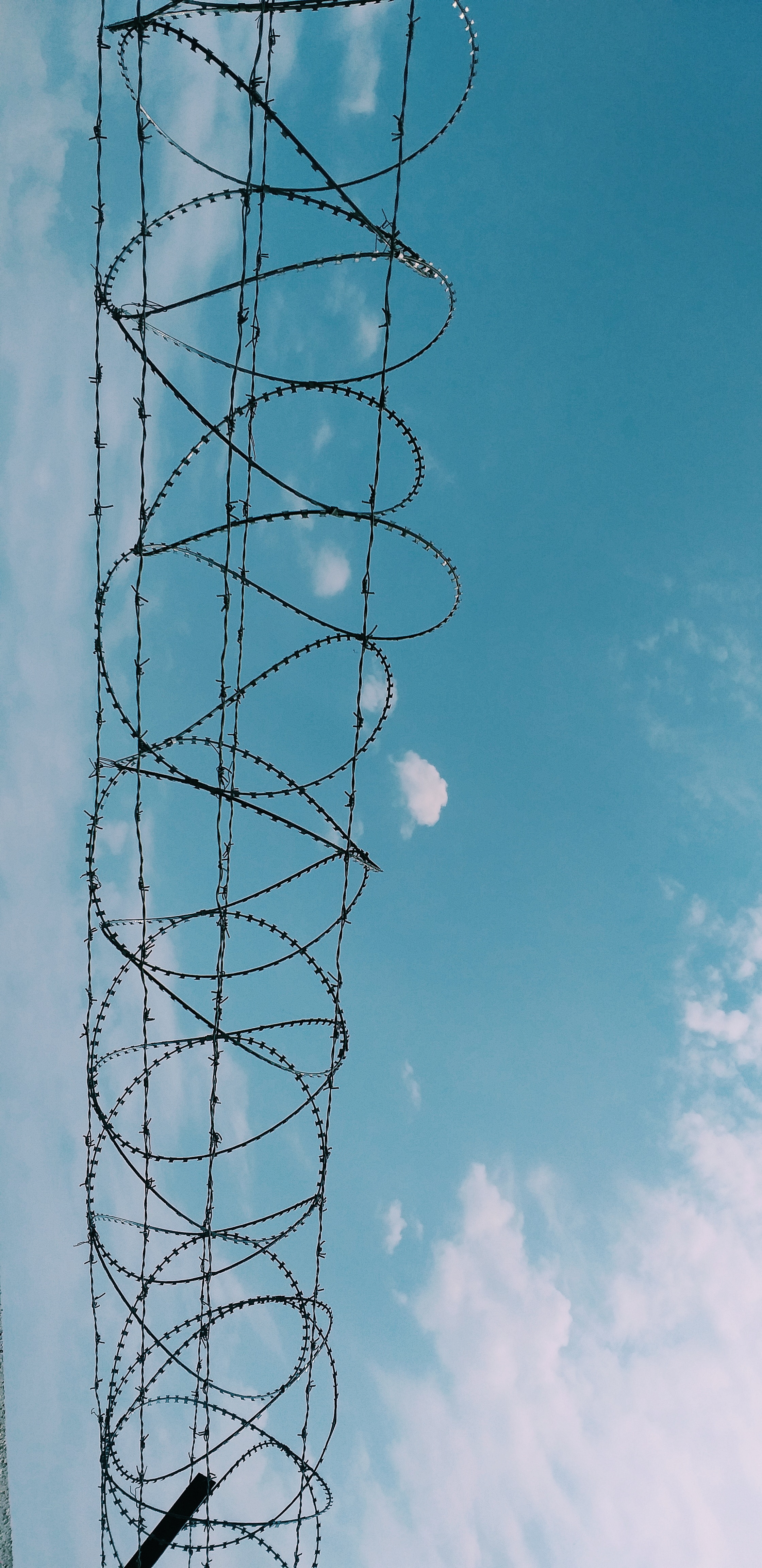 Razor Wire